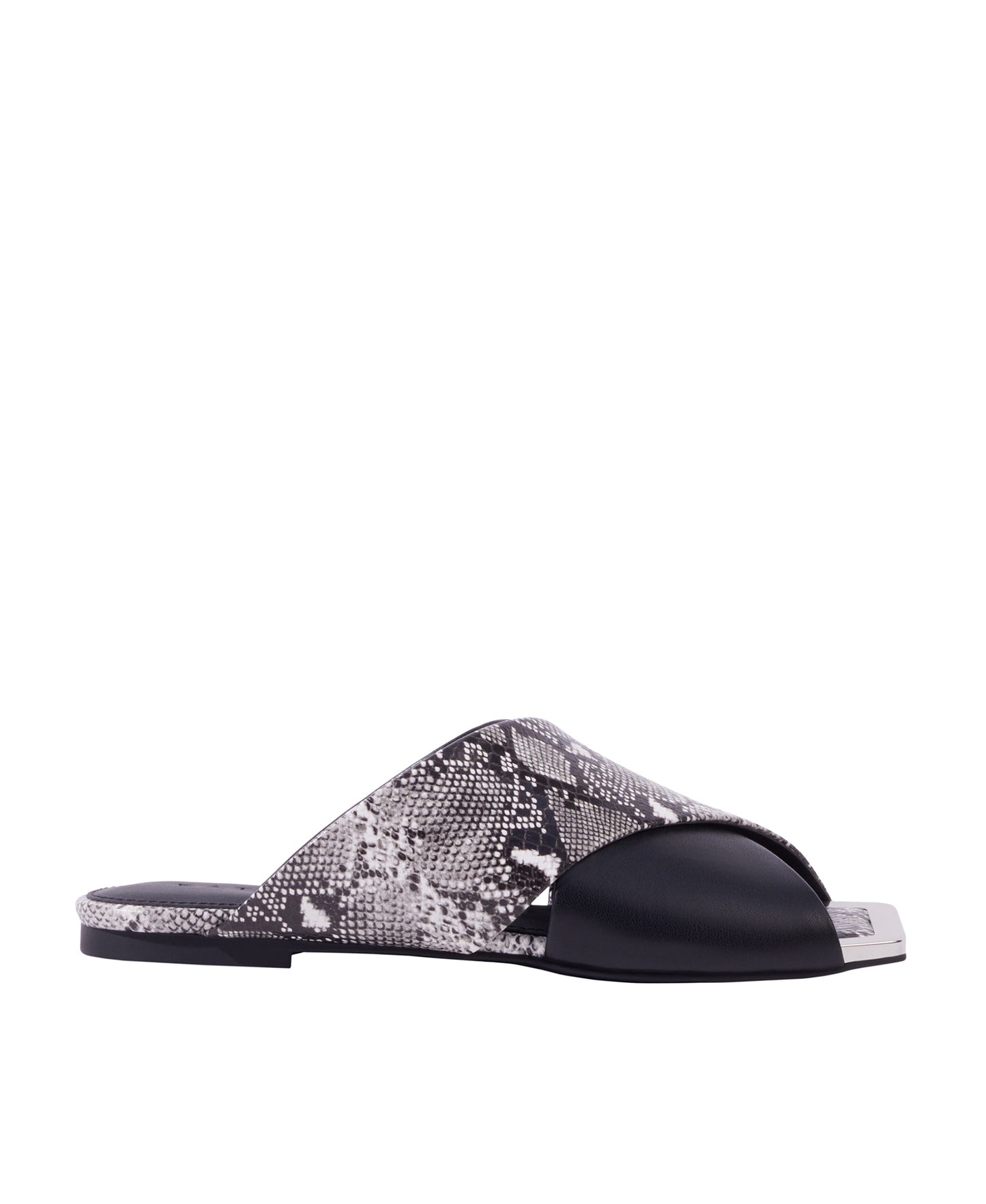 THE CHECKED IN SLIDE