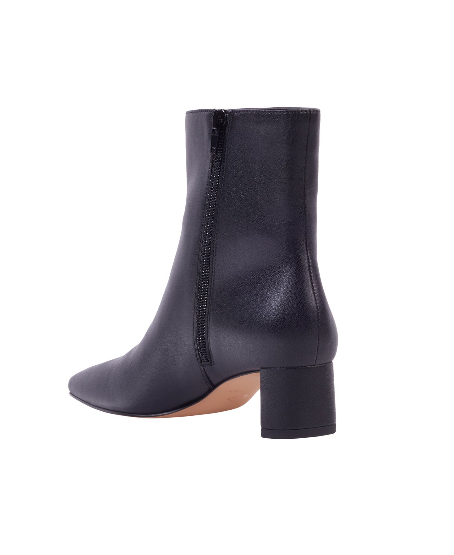 THE WANDERERING BOOTIE