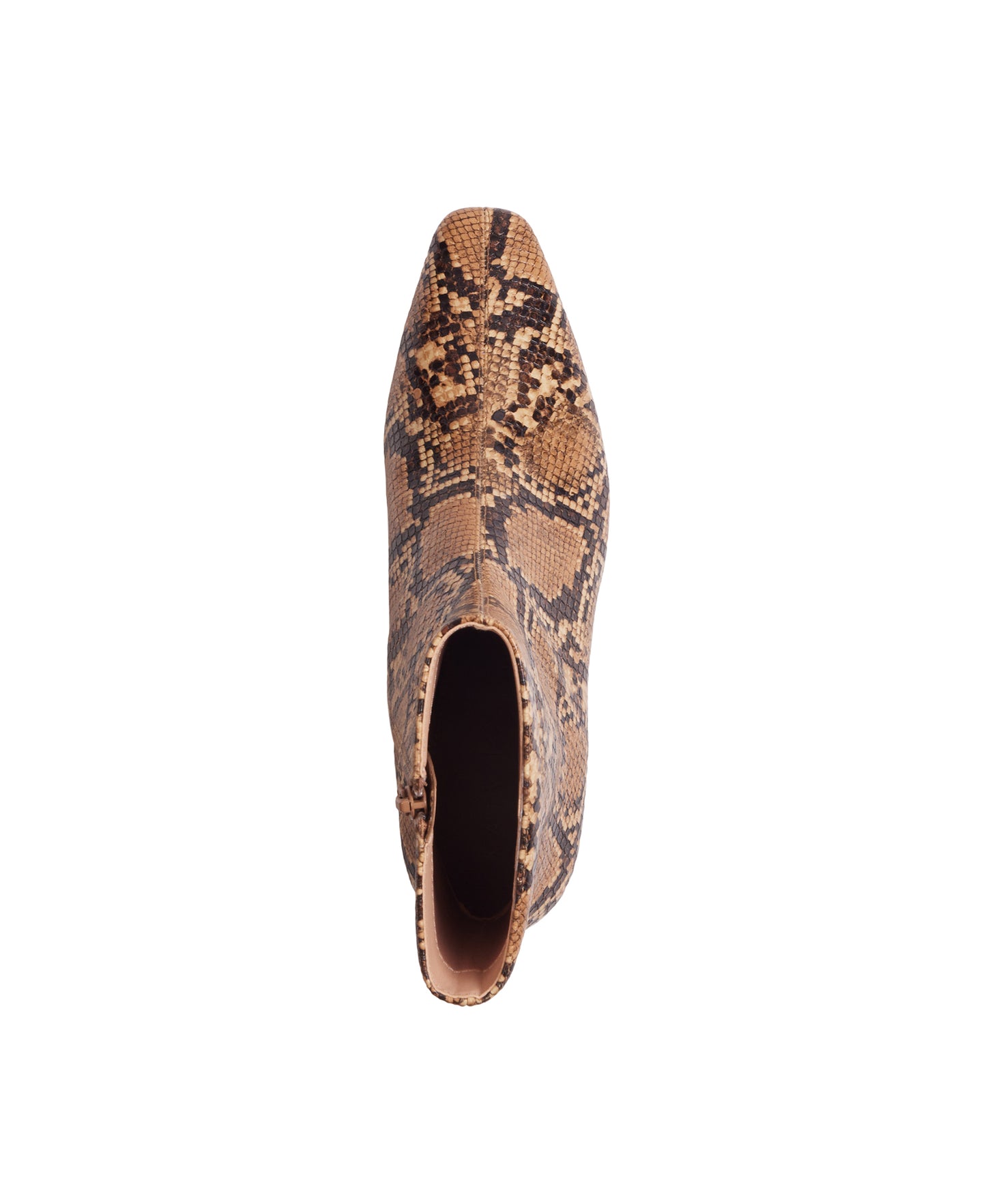 THE WANDERERING BOOTIE