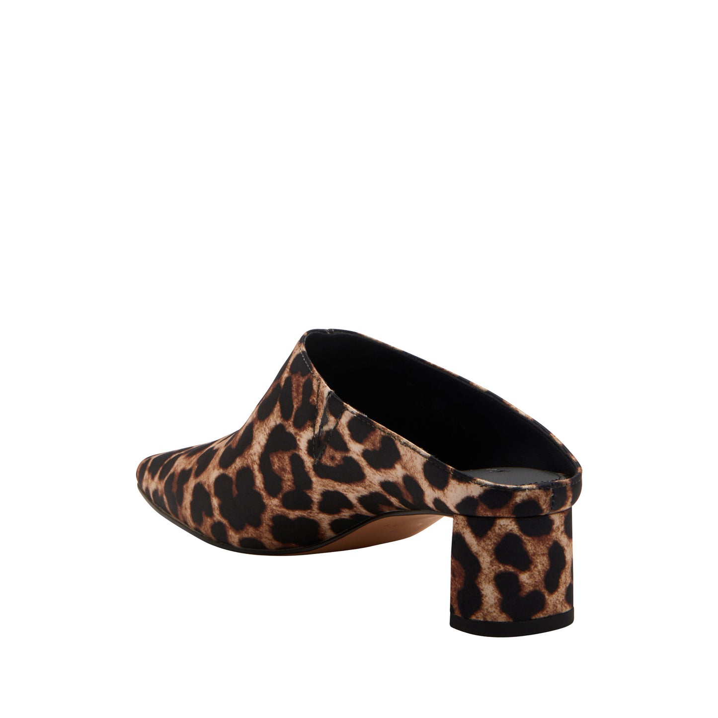 THE WANDERERING MULE in leopard