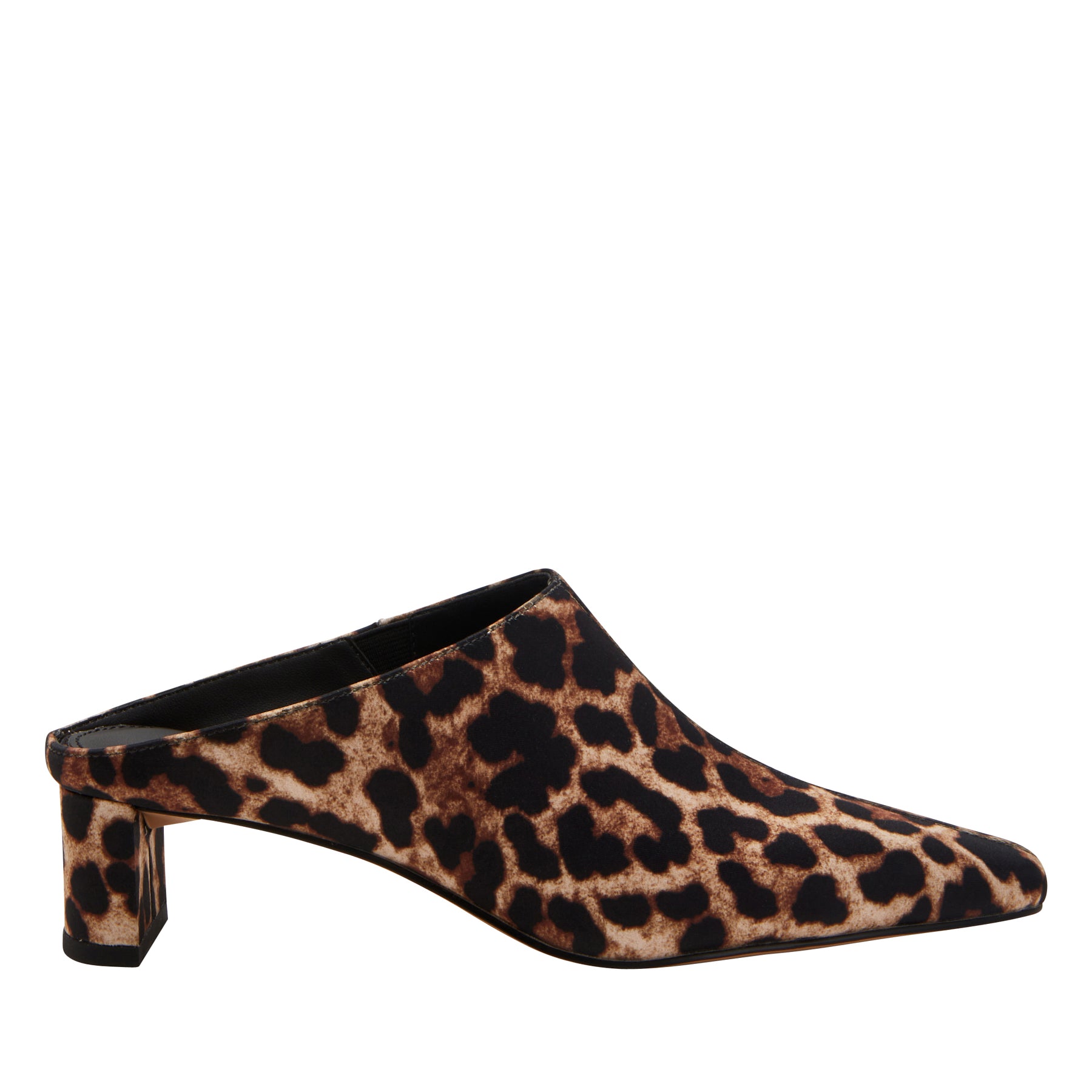 THE WANDERERING MULE in leopard