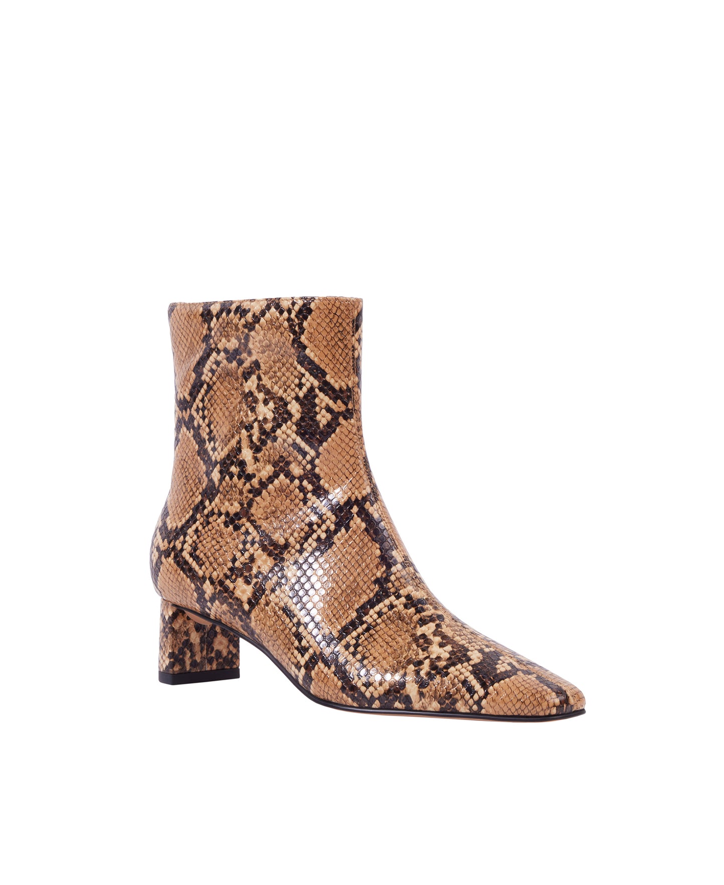 THE WANDERERING BOOTIE