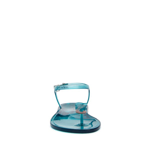 Seahorse Turquoise