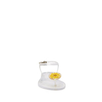 Clear Daisy