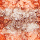 Orange Multi Swatch