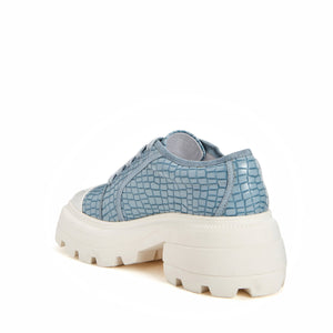 Arctic Blue