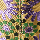 Violet Multi Swatch