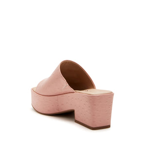 Vintage Pink