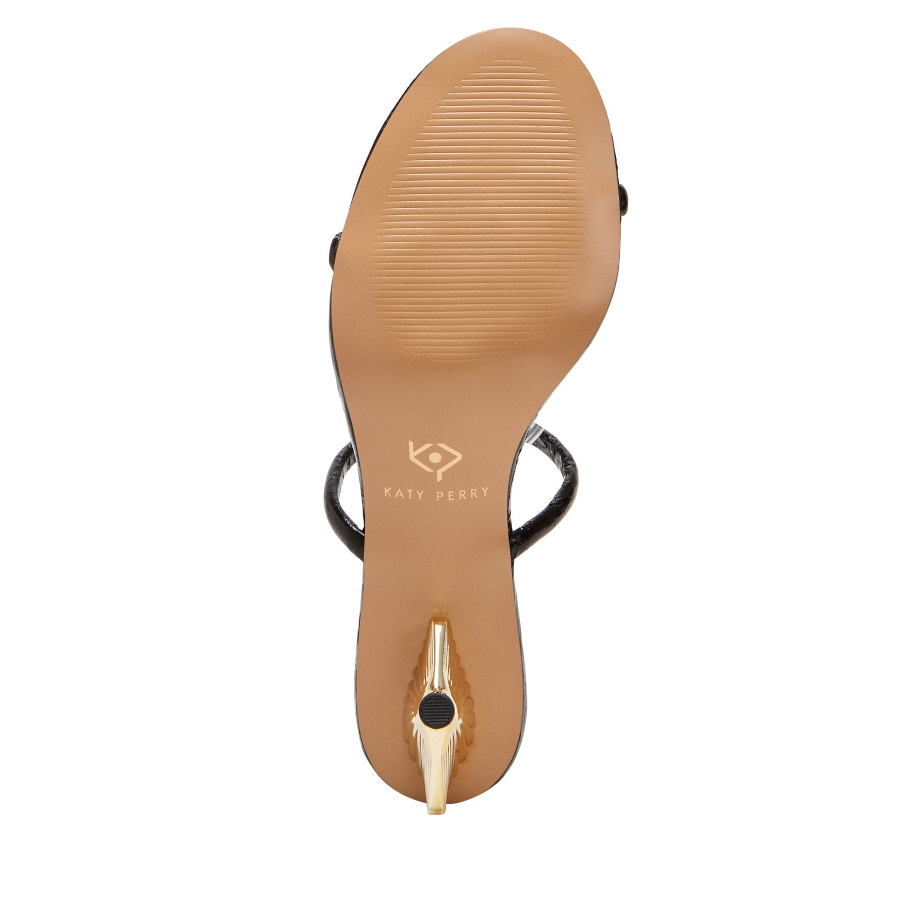 The Scalloped Shell Katy Perry Collections